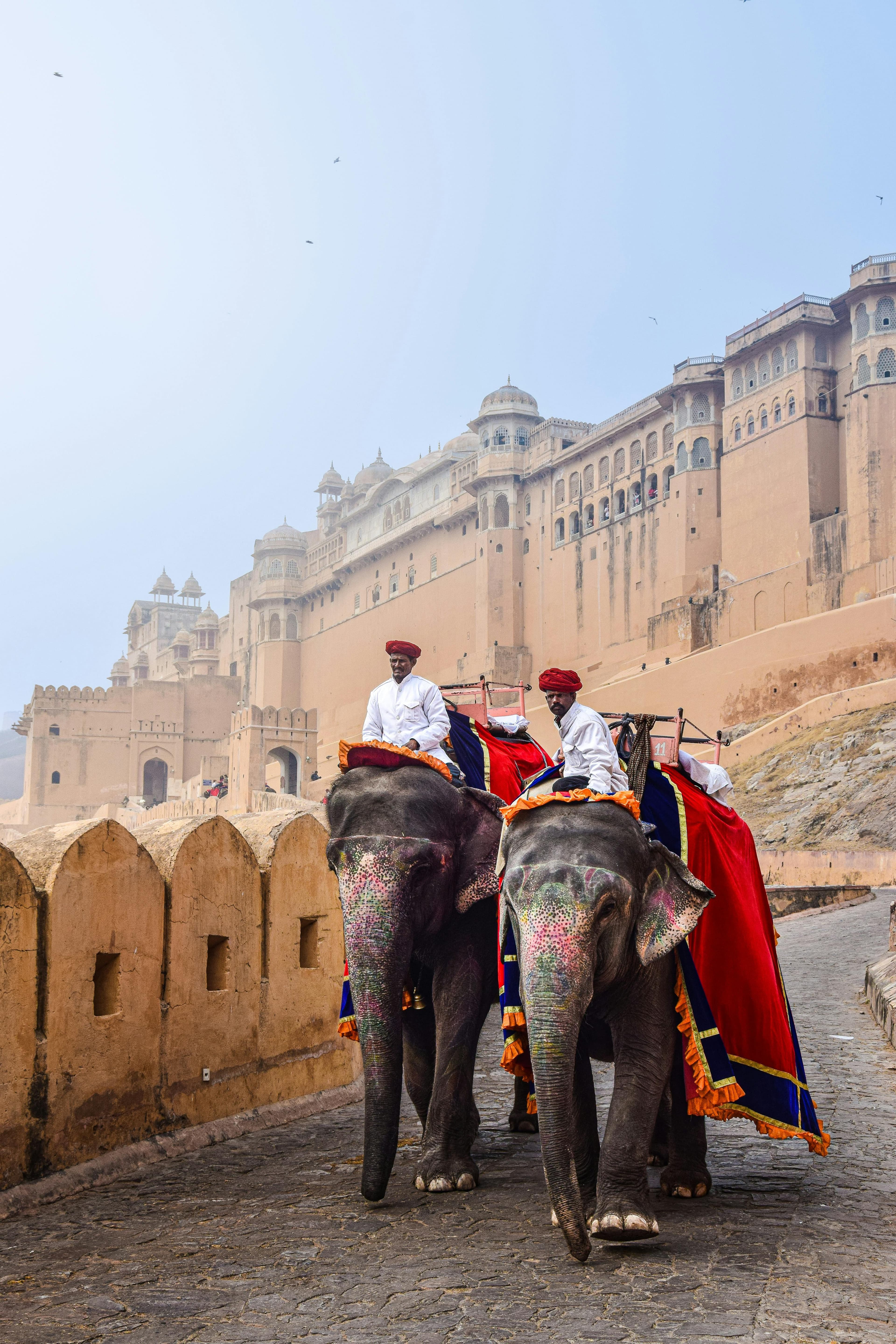 Rajasthan Forts